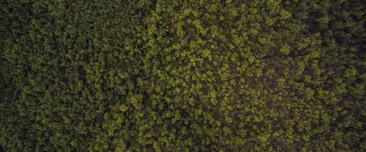 Completed exterior paint job on Phoenix home