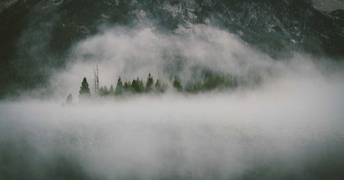 Freshly painted living room interior