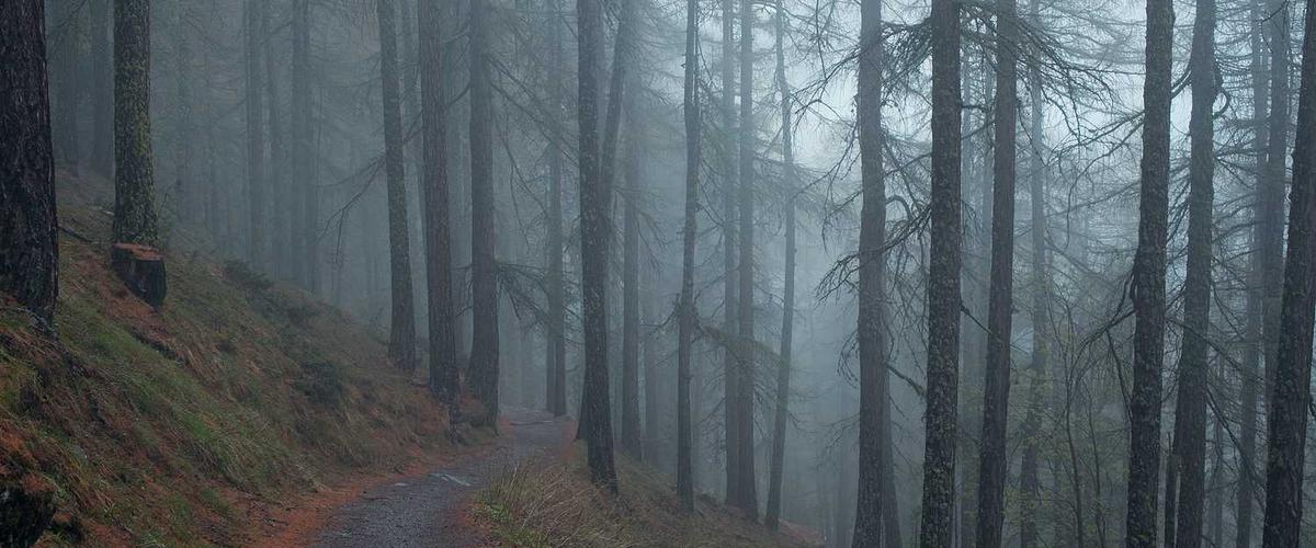 Close-up of painter carefully cutting in paint at ceiling edge, demonstrating precision and skill