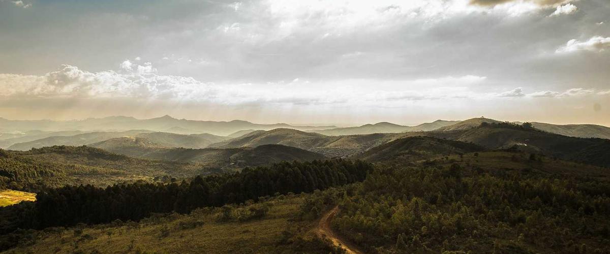 Color palette showing exterior paint colors suited for Arizona climate