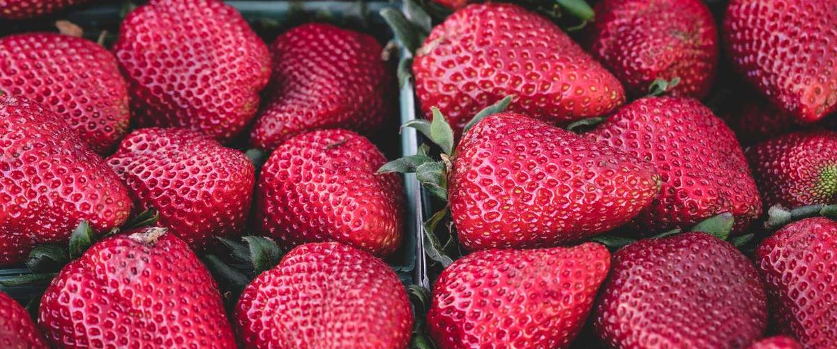 Happy family with pet dog in a freshly painted living room