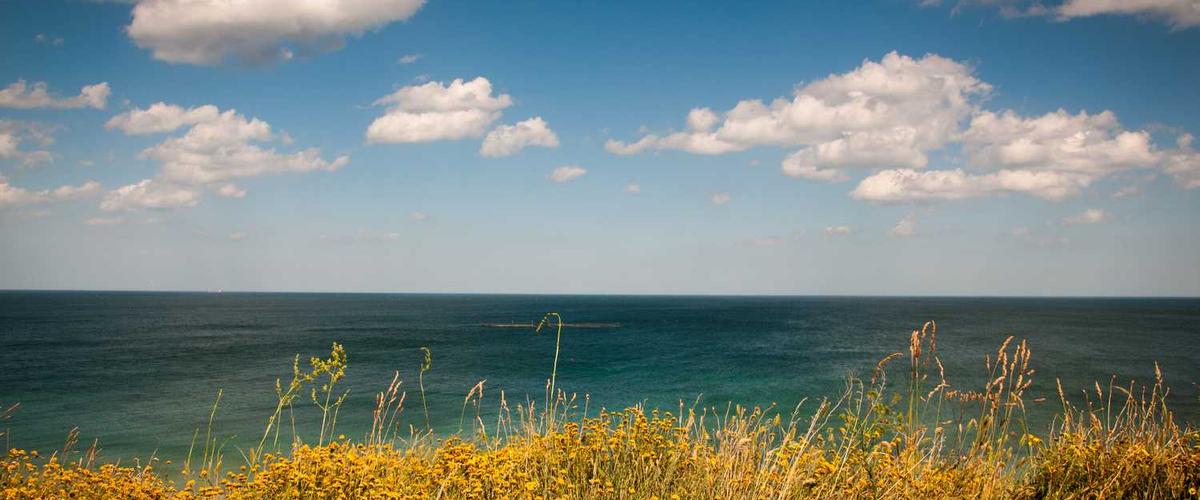 Hand test for chalking on exterior stucco wall