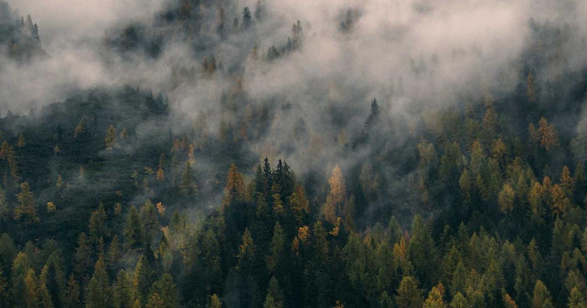 HOA community with consistent exterior painting