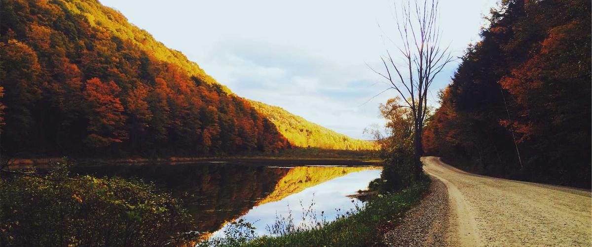 Kitchen before and after cabinet painting transformation