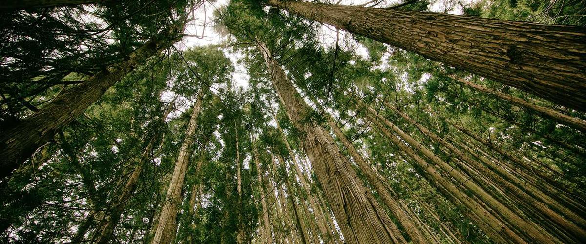 Modern living room with beautiful smooth ceiling after popcorn removal