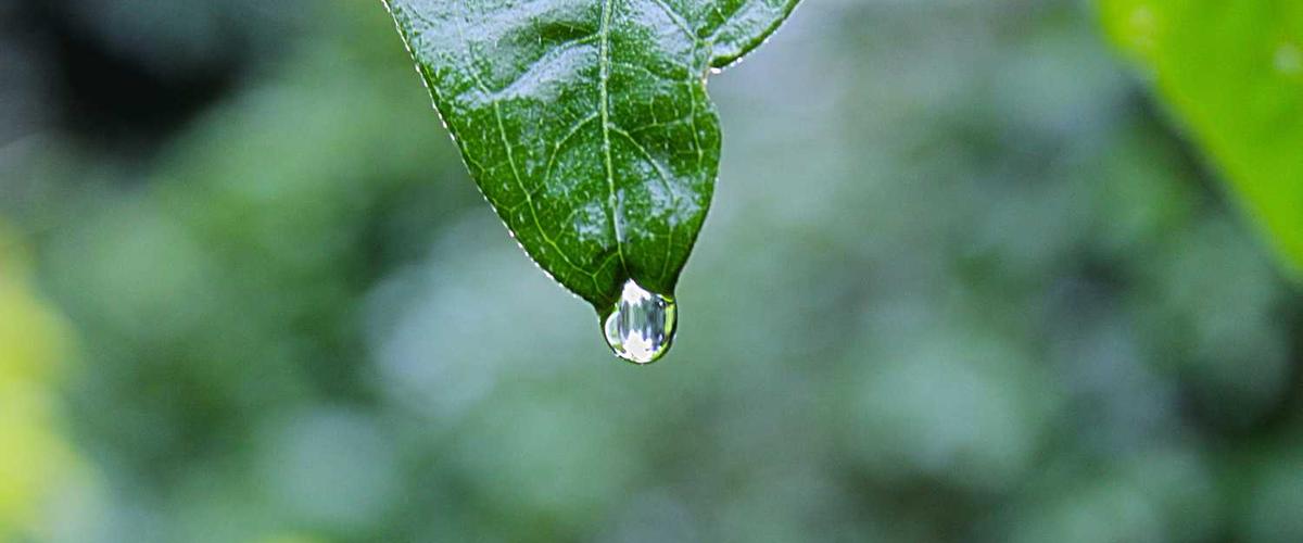 Exterior of apartment complex being painted with lift equipment and professional crew