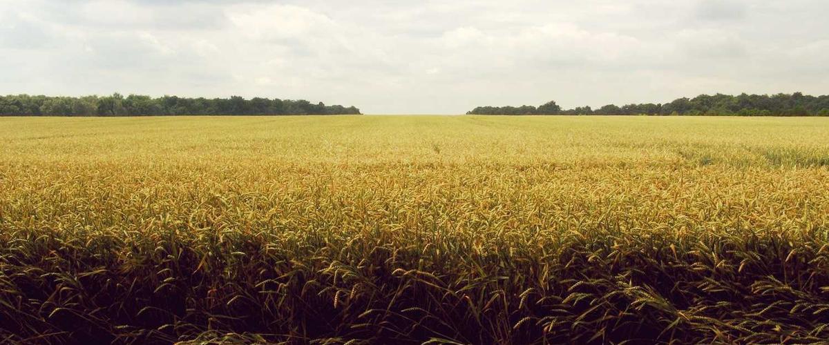 Professional cabinet painting spray application