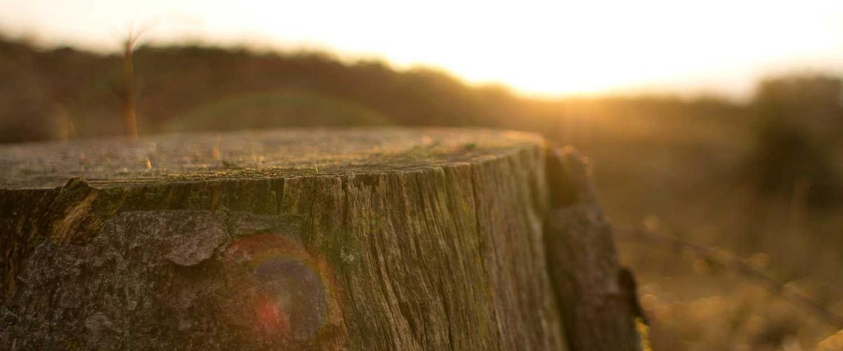 Beautiful white painted kitchen cabinets with warm undertones