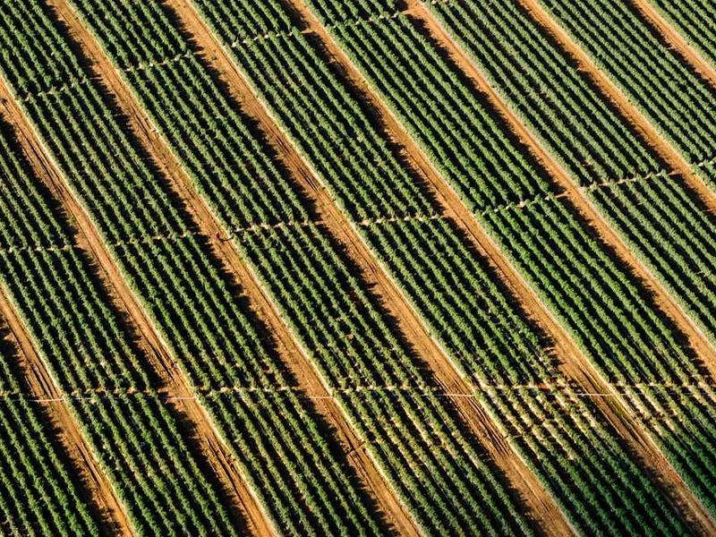 Interior Painting project 1