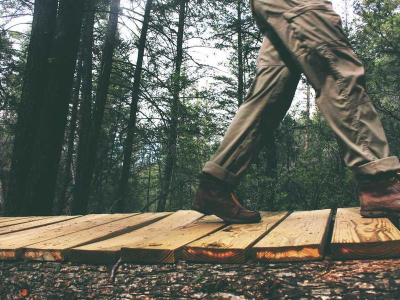 John and Claude planning a project