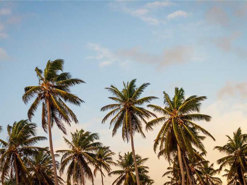 Popcorn Ceiling Removal project 2