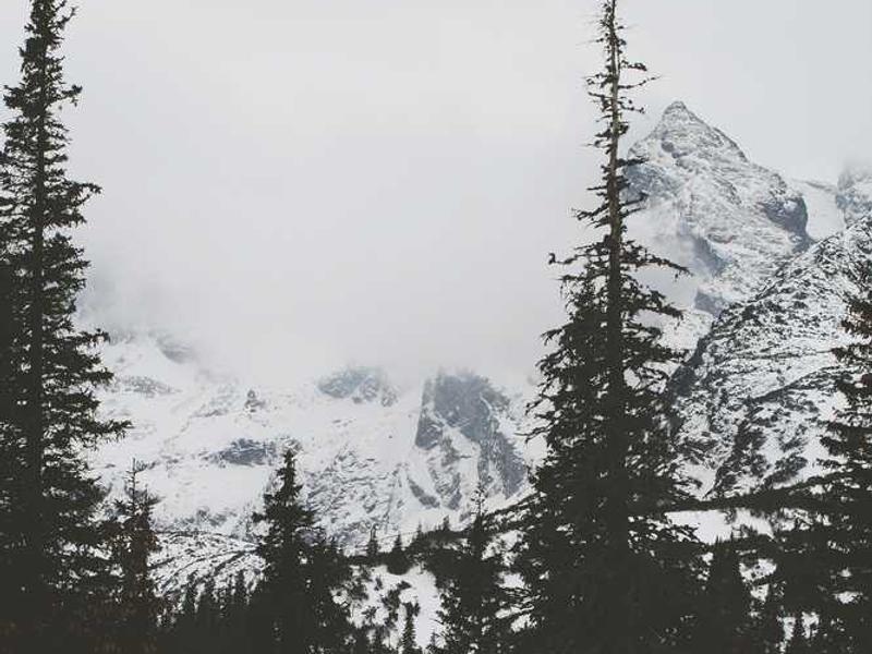 Cabinet Painting project 2