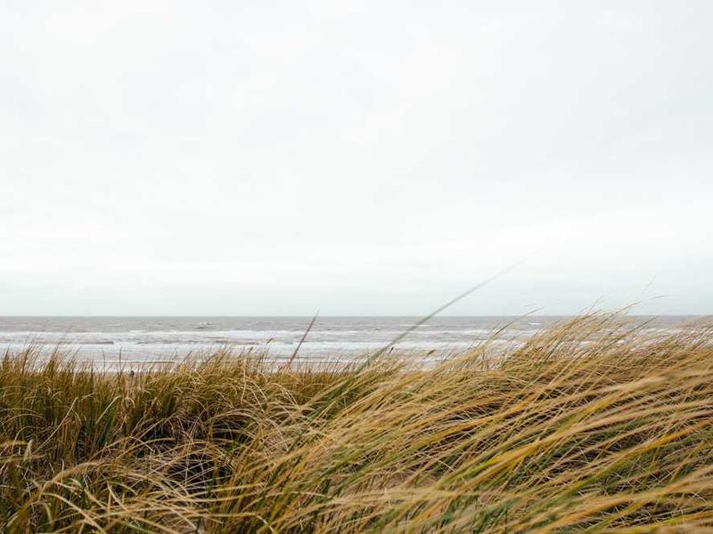 Professional painting craftsmanship