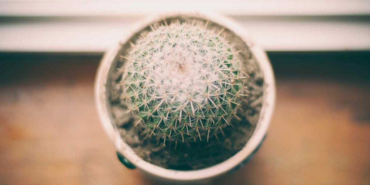 Contact John Claude Painting